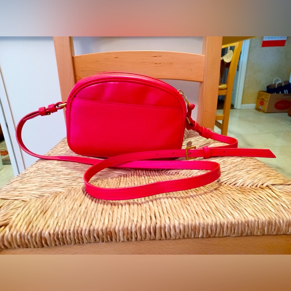 Brand New JCrew shoulder mini purse (AK245)
